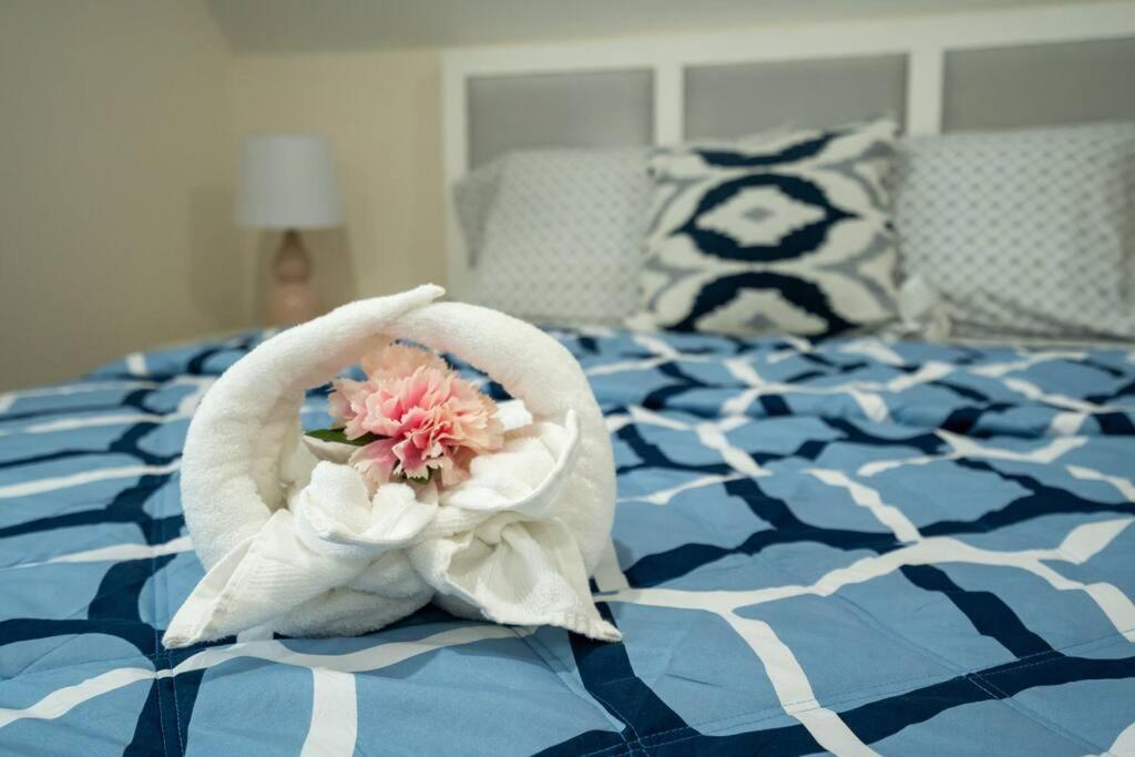 80-3 3Br Boston - Charming Apt Near Dorchester Center Apartment *