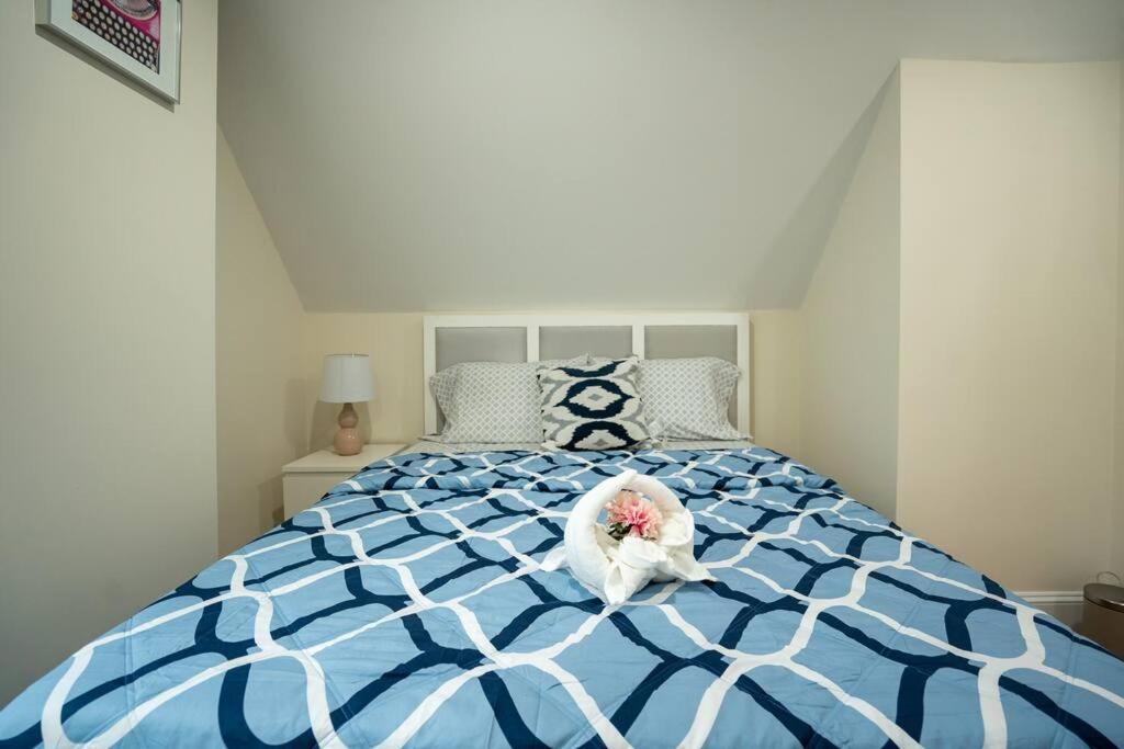 80-3 3Br Boston - Charming Apt Near Dorchester Center Apartment *